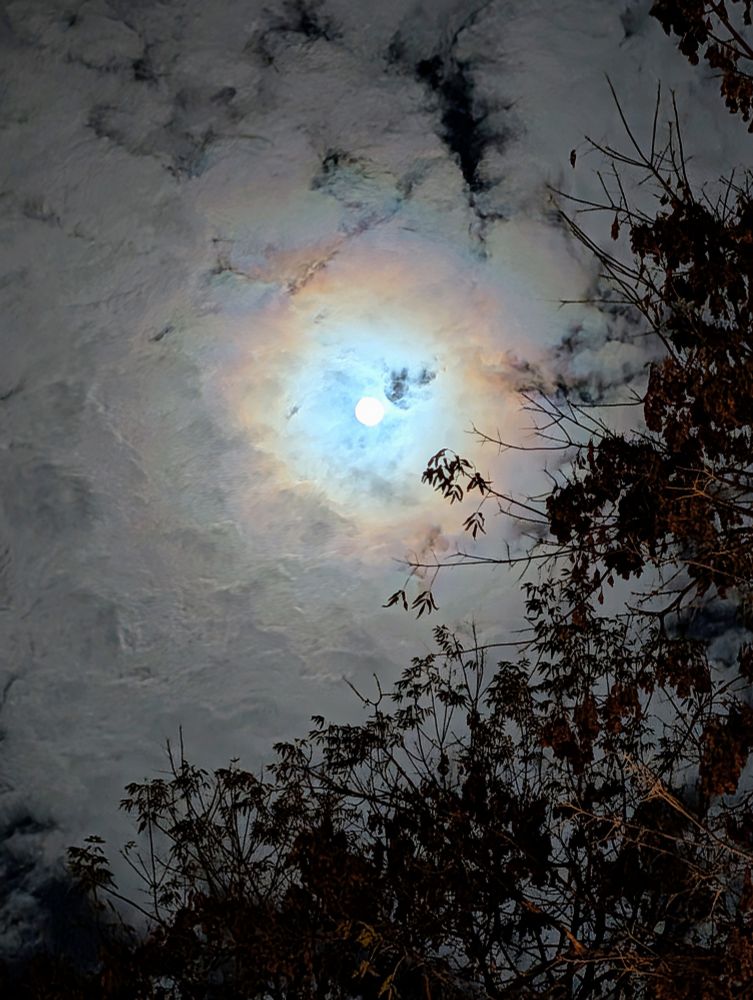 The Nov 4 full moon lights up the clouds in the sky. It had a halo of orange-ish colour around it. The image is framed by silhouetted tree branches.