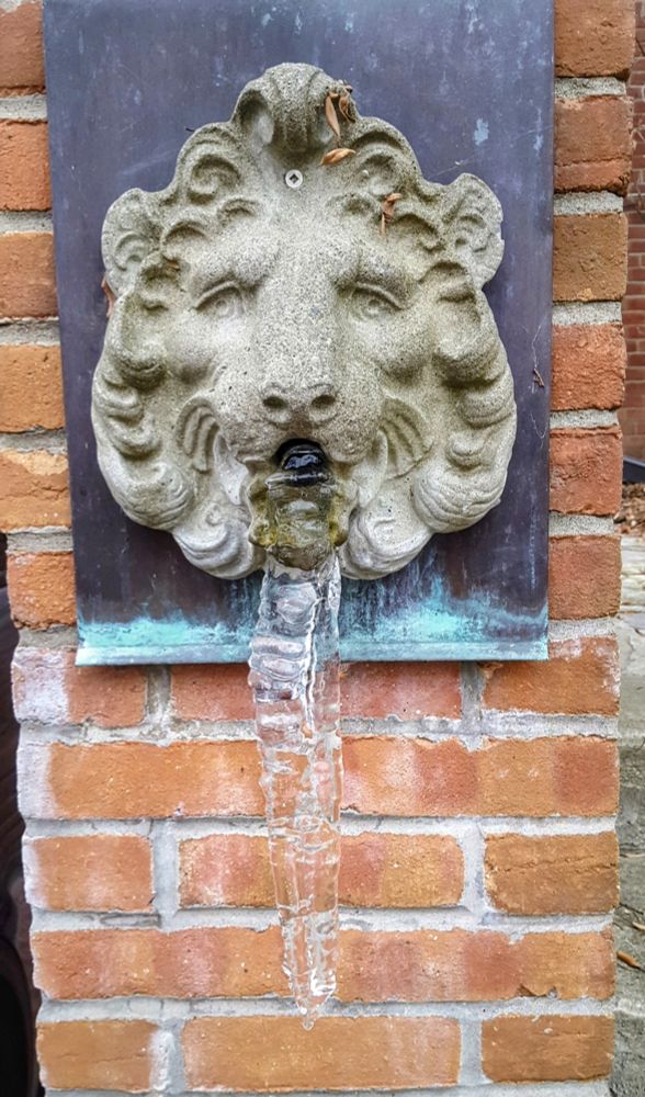 A lion's head fountain mounted on a brick wall. The water coming from the lion's mouth has turned to ice.