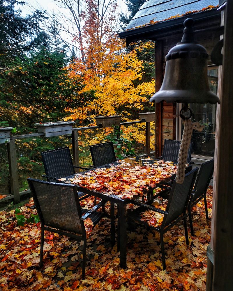 An autumn image showing a cottage deck with dining table and chairs covered in leaves. An old iron bell is on the right. Beyond the deck are trees showing their fall colours.
