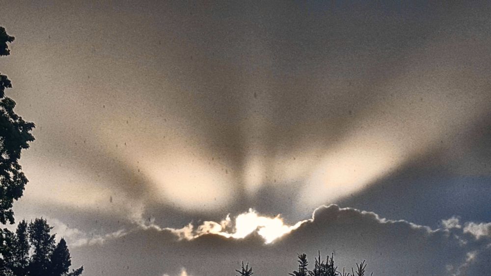 Evening sunlight bursting and projecting through a small break in a dark cloudy sky. A tree is on the left.