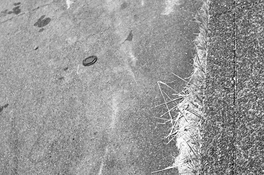 A black and white photo of a black plastic disposable cup lid on the road, with dry grass growing from the curb next to it.