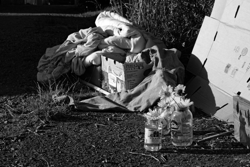 A black and white photo of some flowers in jars on the ground in front of the decaying remains of a free-box.