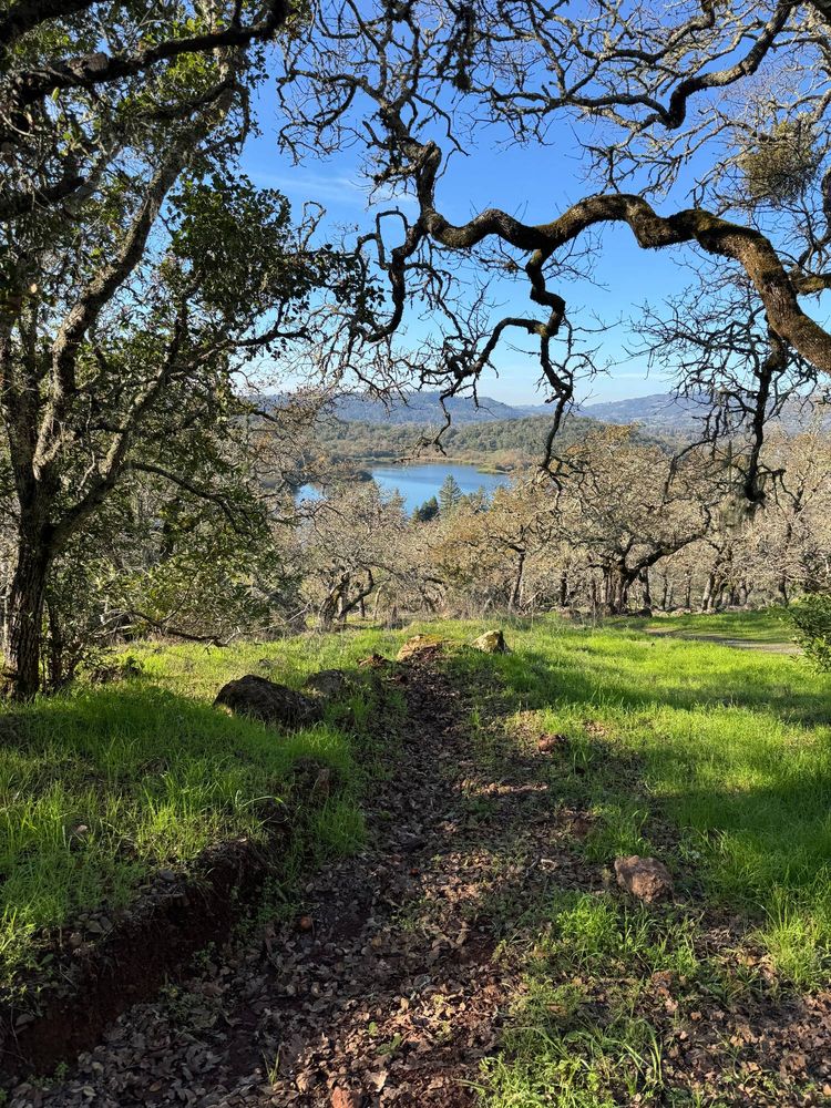 Spring Lake from the hill seen in the last pic.
