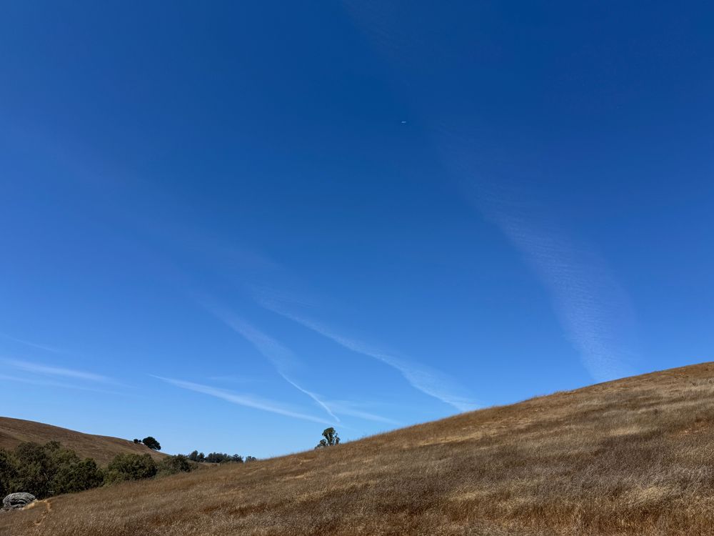 Clouds or contrails form a 