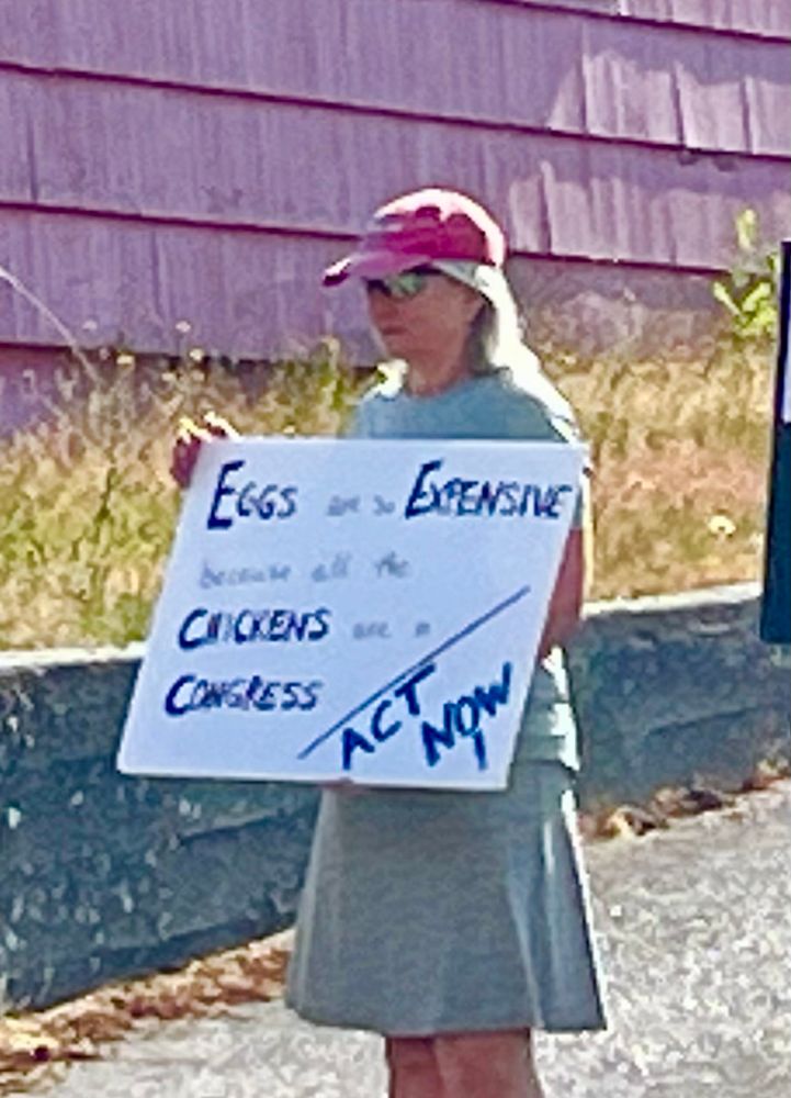“Eggs are expensive because all the chickens are in congress.”