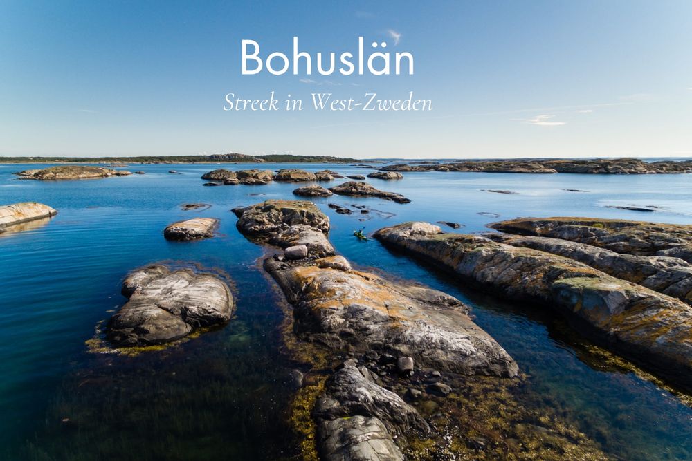  Lukasz Warzecha/Westsweden.com, Koster