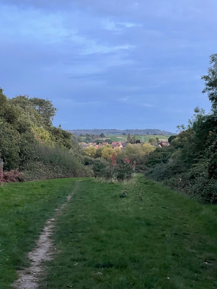 Natural path in grassy stretch between trees, which opens to hills and roofs of houses in the distance catching the sun. 