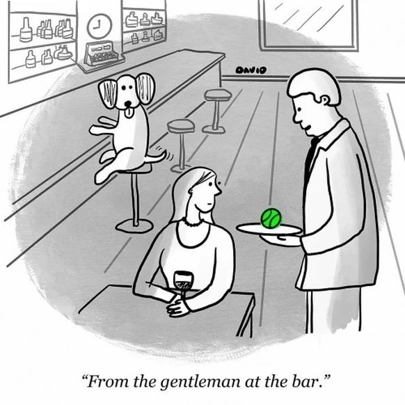 Comic. Ein Kellner bringt einer Frau in einer Bar einen Tennisball auf einem Tablett. Er sagt "From the gentleman at the bar." An der Bar sitzt auf einem Hocker ein wedelnder Hund der in Richtung der Beiden blickt.