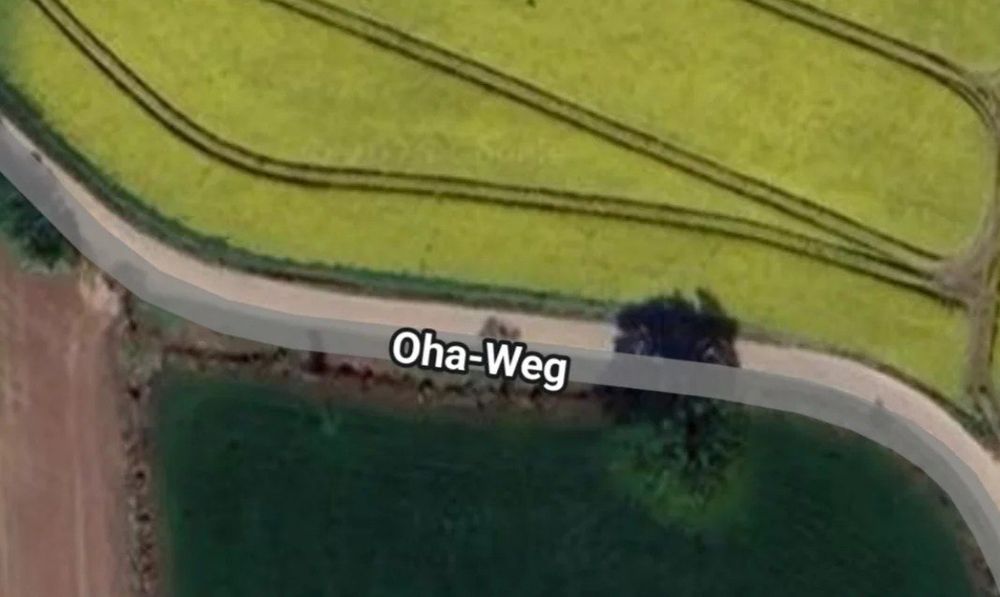 Screenshot aus Google Maps. Es ist eine Straße, die an Feldern vorbeiführt, aus der Vogelperspektive zu sehen. An der Straße steht das Label: "Oha-Weg".