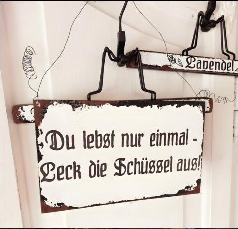 Das Bild zeigt ein dekoratives Schild aus Metall, das an einem Haken mit Drahtaufhängung hängt. Das Schild ist im Vintage-Stil gestaltet – mit abgenutzten Rändern und einer nostalgischen Schriftart in Schwarz auf weißem Hintergrund. Darauf steht auf Deutsch:

„Du lebst nur einmal – Leck die Schüssel aus!“

Im Hintergrund ist ein weiteres Schild mit dem teilweise sichtbaren Wort „Lavendel“ zu erkennen, das ebenfalls im Vintage-Stil gehalten ist. Beide Schilder hängen an einer weißen Holztür oder Wand. Ein Draht mit dekorativer Spirale ist ebenfalls zu sehen.