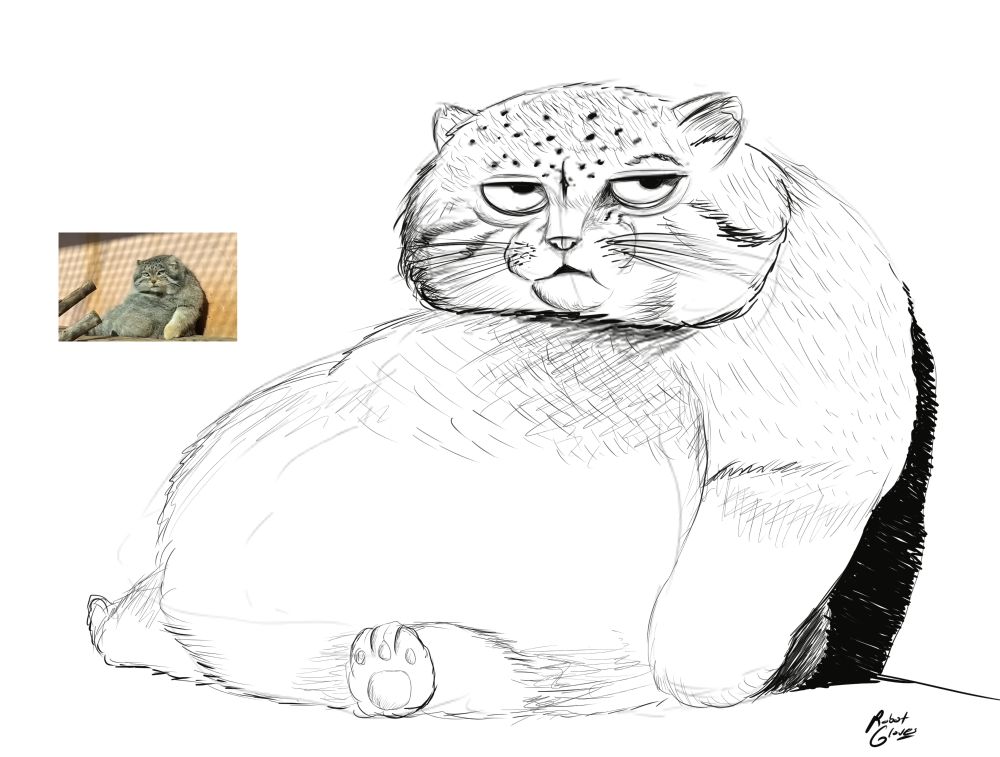 A doodle of a Pallas's Cat. A slight caricature of the creature.
