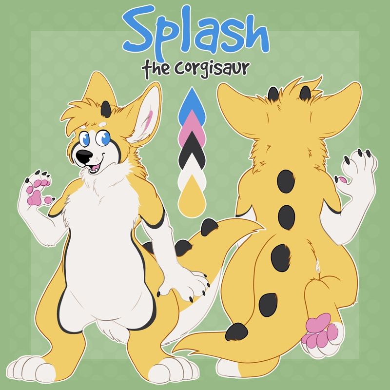 Reference sheet of Splash the dino dog (corgisaur!)
