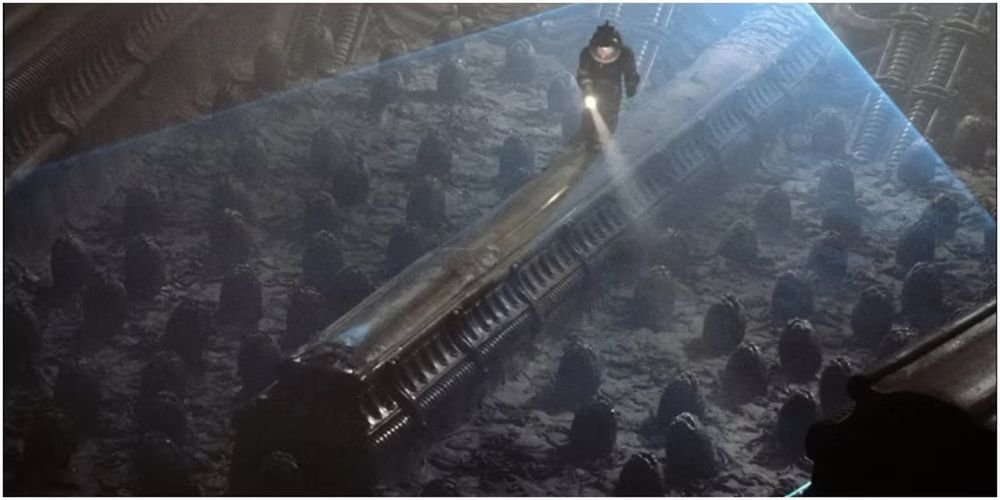 A still from the 1979 science fiction horror film Alien where Kane (John Hurt) discovers a field of xenomorph eggs within a derelict starship.