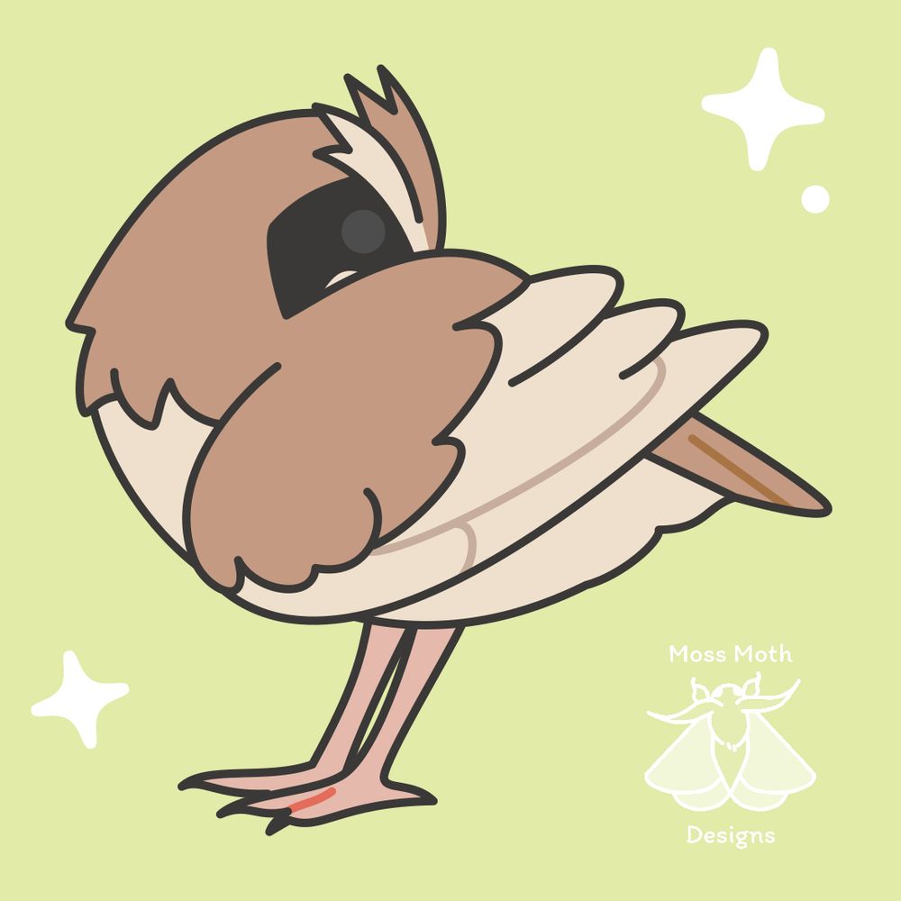 Pidgey the pokemon