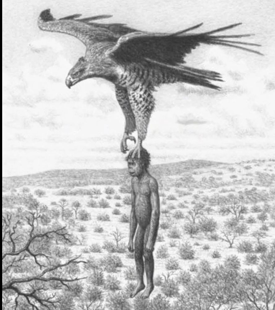 an illustration of an early human being carried away by a large bird