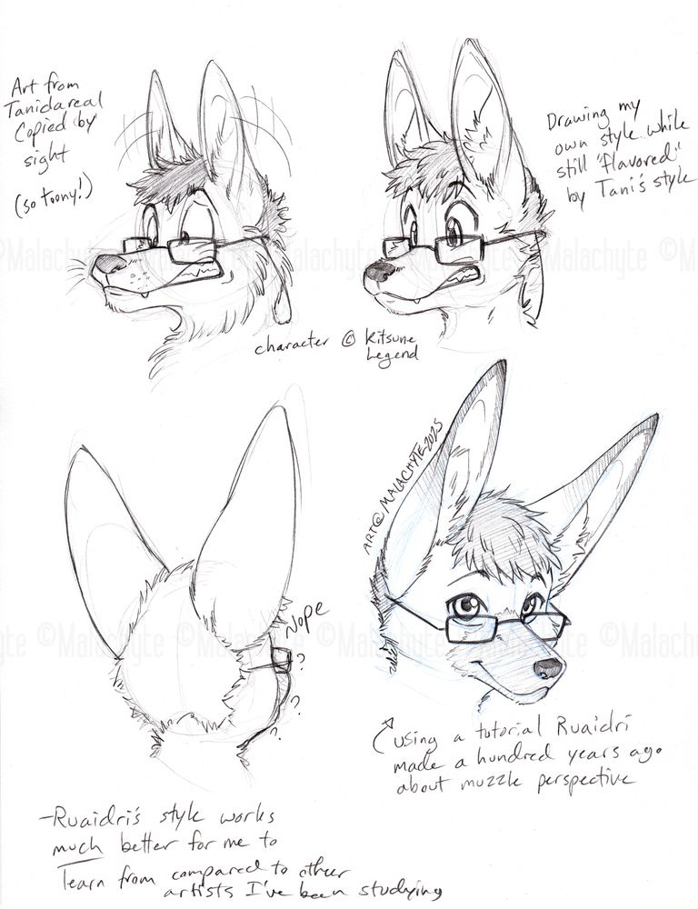 Four pencil sketch headshots of a tall-eared maned wolf anthro.
