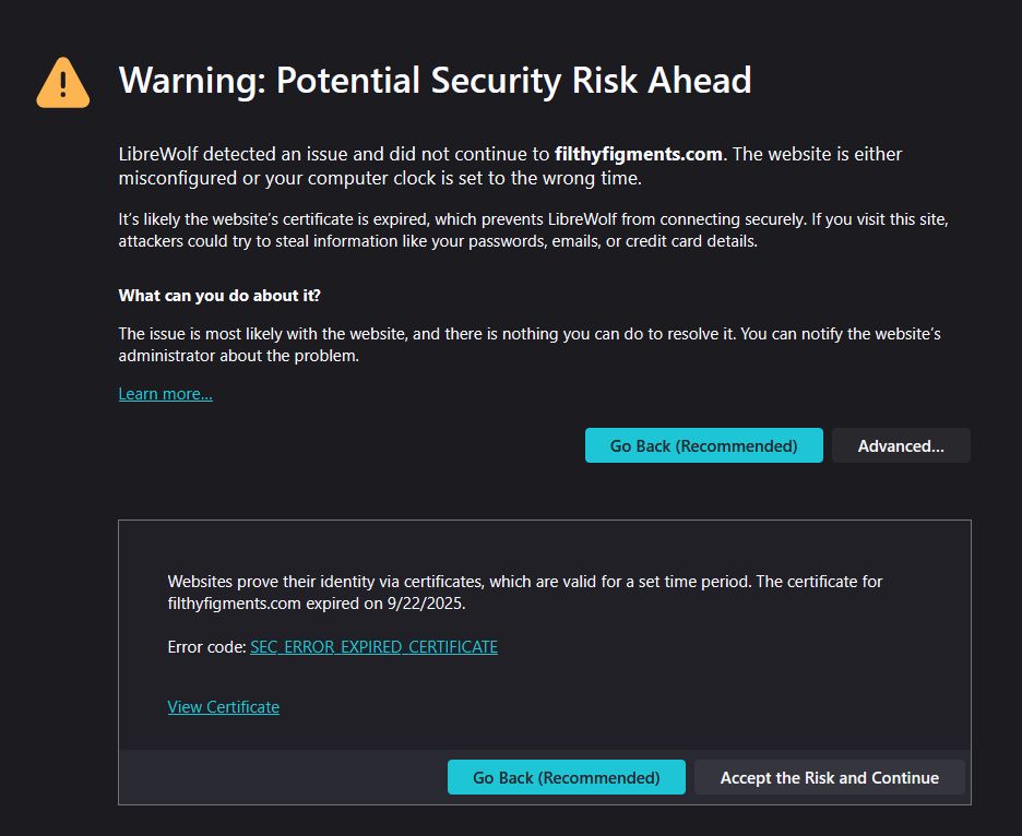 Screenshot of a browser page showing a potential security risk warning.