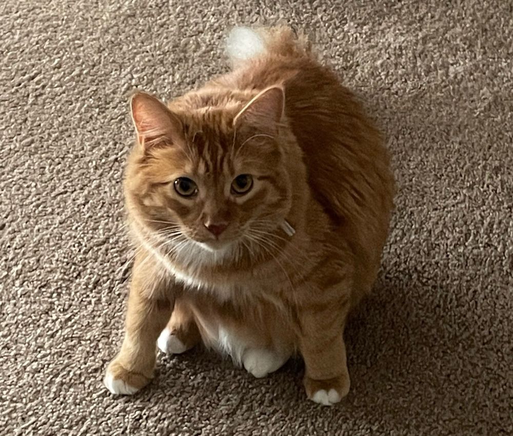 First day back at work got me feeling like
