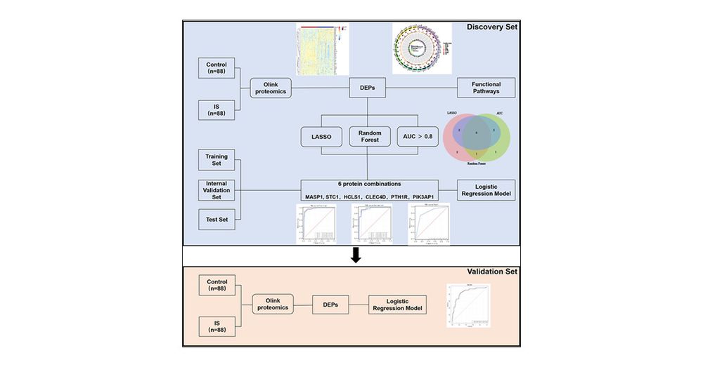 [ASAP] Serum Olink Proteomics-Based Identification of Protein Biomarkers Associated with the Immune Response in Ischemic Stroke