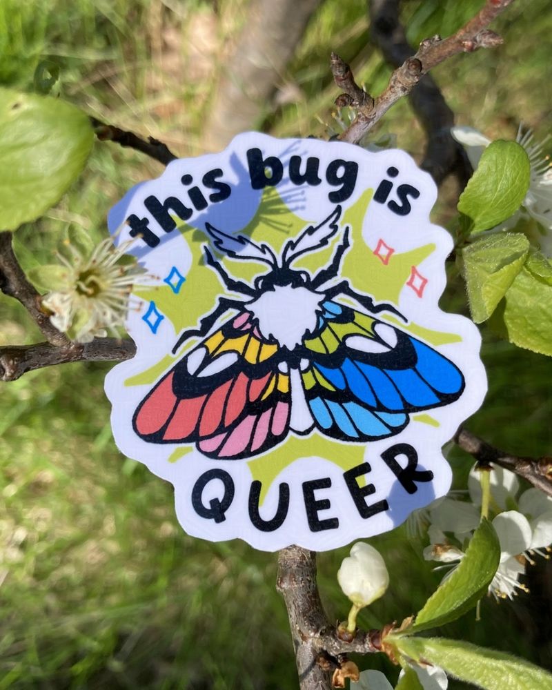 A photo of a handmade sticker resting on the branch of a flowering plum tree. The sticker features a moth with the queer pride flag colors and text that reads "this bug is queer".