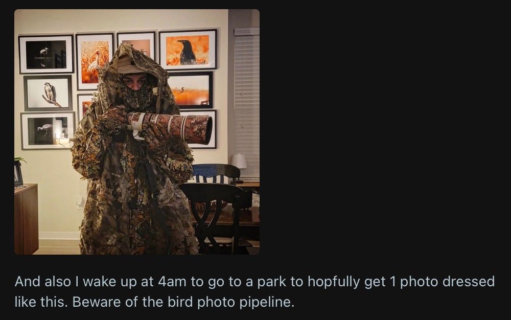 Guy dressed in full camo: "And also I wake up at 4am to go to a park to hopfully get 1 photo dressed like this. Beware of the bird photo pipeline."