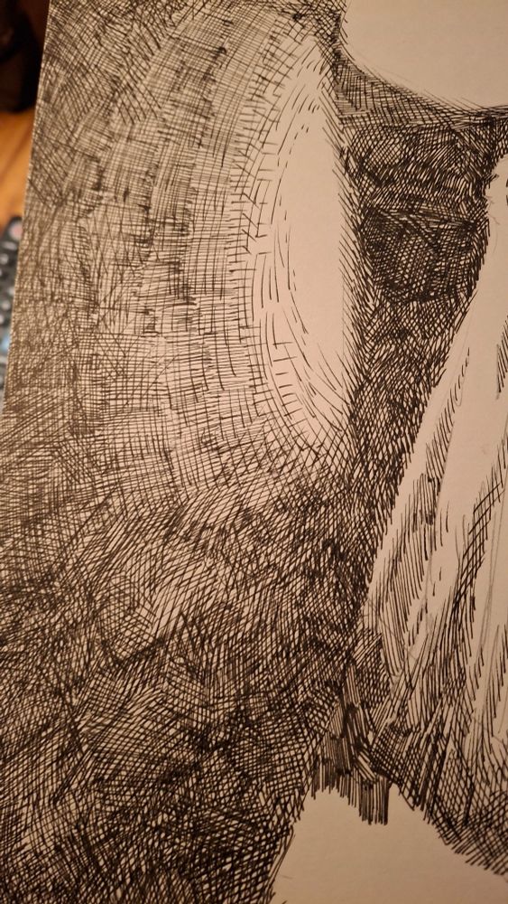 Black ink crosshatching on white bristol board