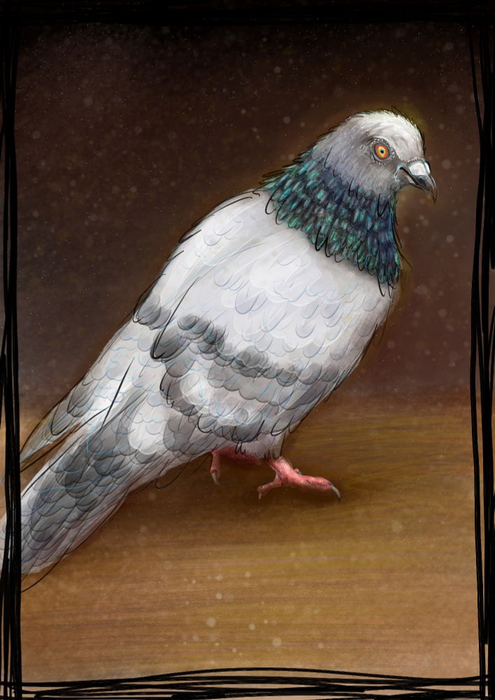 An illustration of a fairly standard looking pigeon perched on a desk with slightly scruffy feathers and creepy mad little red/orange eyes.