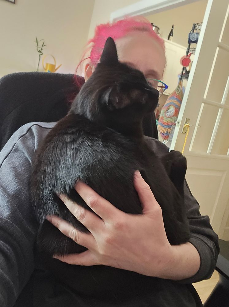 A black cat snuggled into his owner's arms, rubbing his face all over their face and glasses 