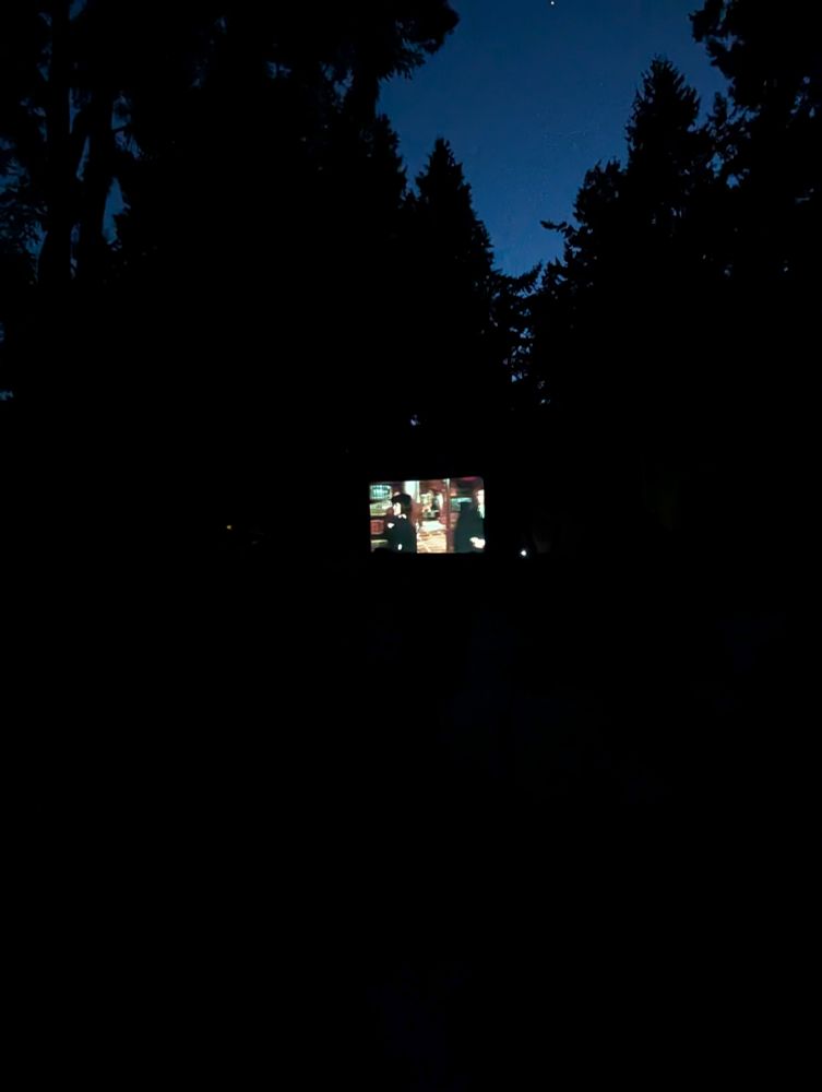 Photo from an outdoor screening of a movie with trees and a darkening sky in the background.