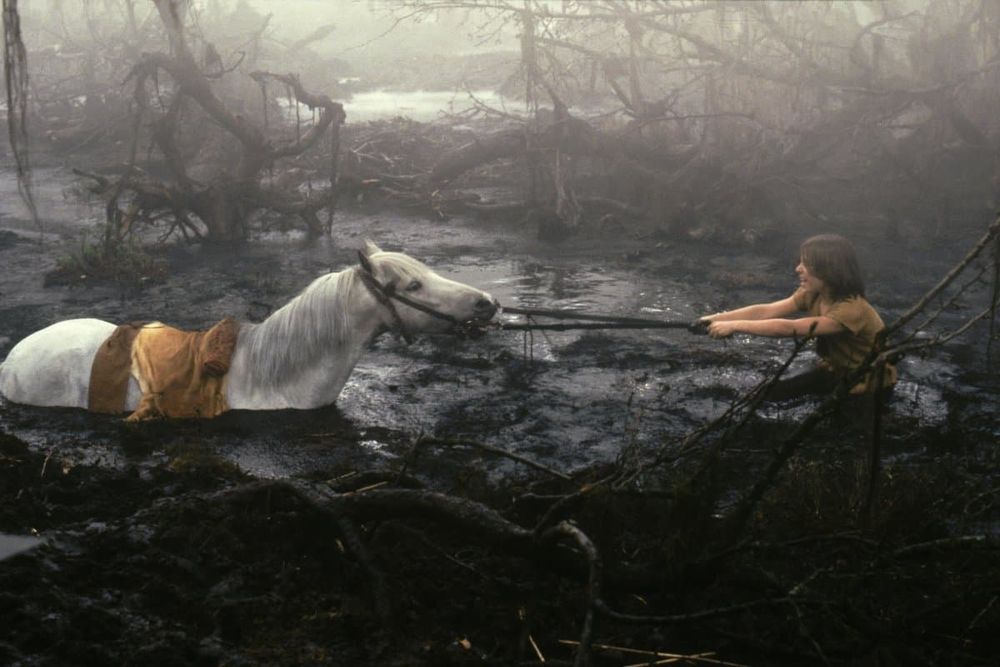 Screenshot from "The Neverending Story" of Atreyu trying to pull Artax from the Swamps of Sadness