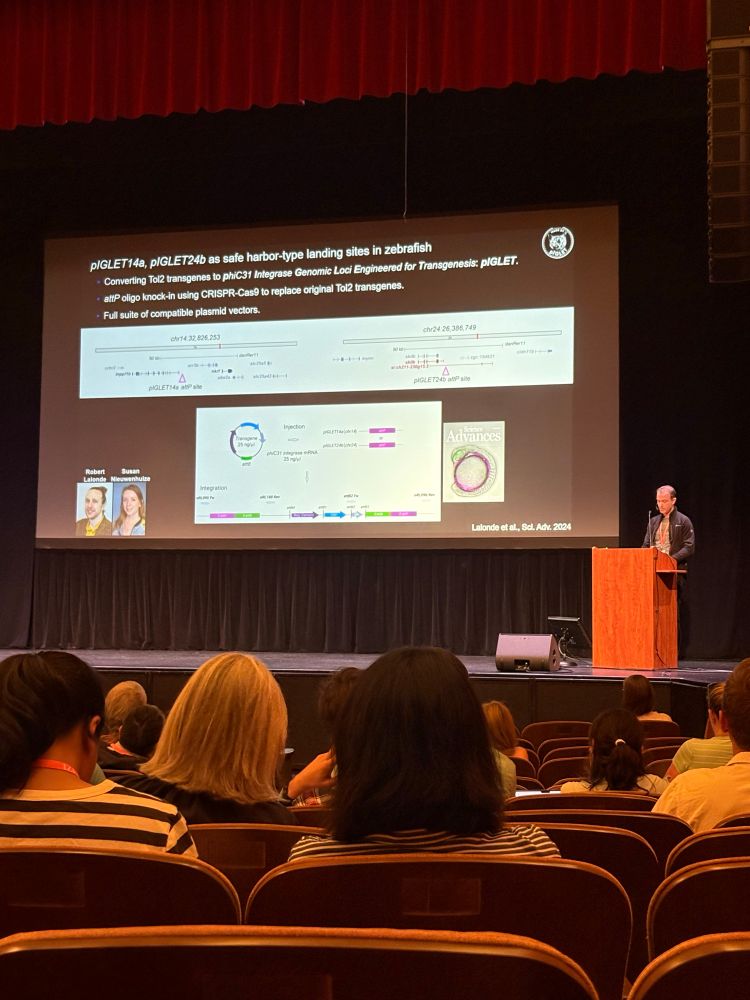 Christian Mosimann presenting at the Advanced Imaging & Engineering session at the International Zebrafish Meeting  