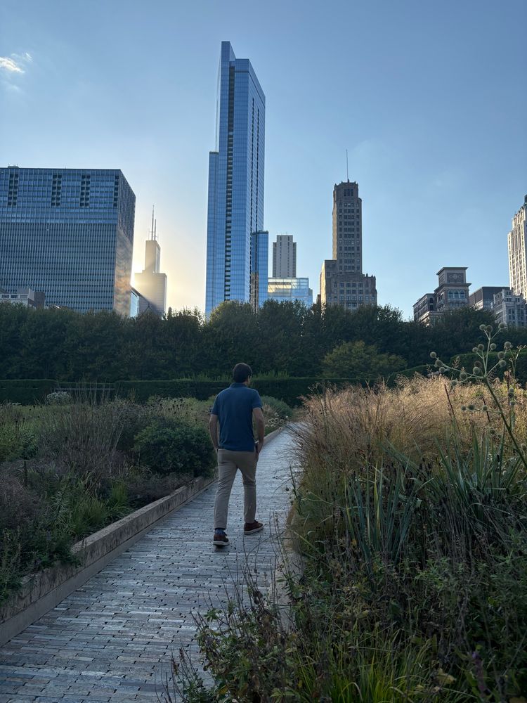 View of the Chicago skyline from the Lurie Garden