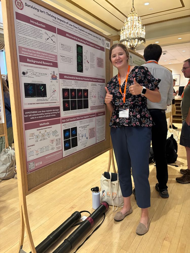 Neva Bergemann presenting a poster on cisplatin ototoxicity at the International Zebrafish Meeting 