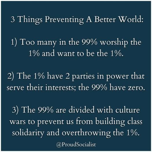 Three things preventing a better world
1. Too many in the 99% worship the 1% and want to be the 1%
2. The 1% have 2 parties in power that serve their interests; the 99% have zero
3. The 99% are divided with culture wars to prevent us from building class solidarity and overthrowing the 1%
