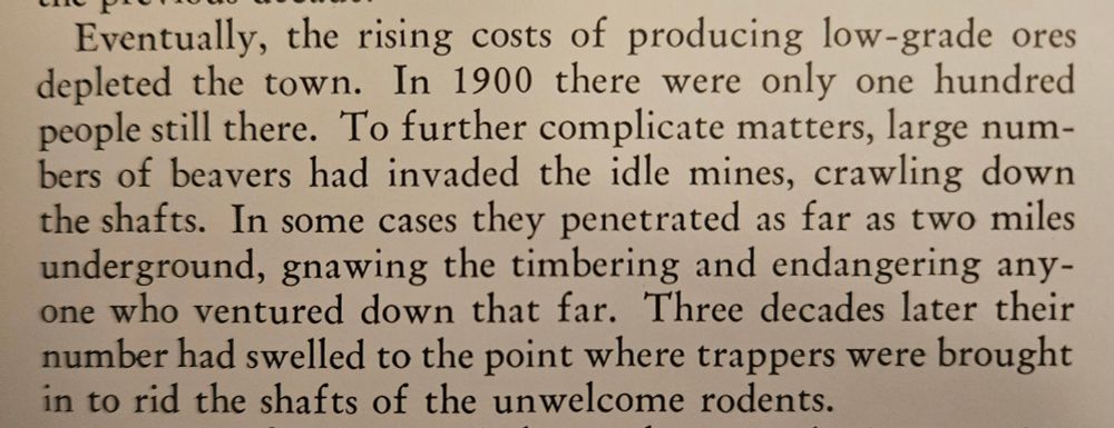 Eventually, the rising costs of producing low-grade ores depleted the town. In 1900 there were only 100 people still there. To further complicate matters, large numbers of beavers had invaded the idle mines crawling down the shafts. In some cases they penetrated as far as two miles underground,  gnawing the timbering and endangering anyone who ventured down that far. Three decades later their number had swelled to the point where trappers were brought in to rid the shafts of the unwelcome visitors.