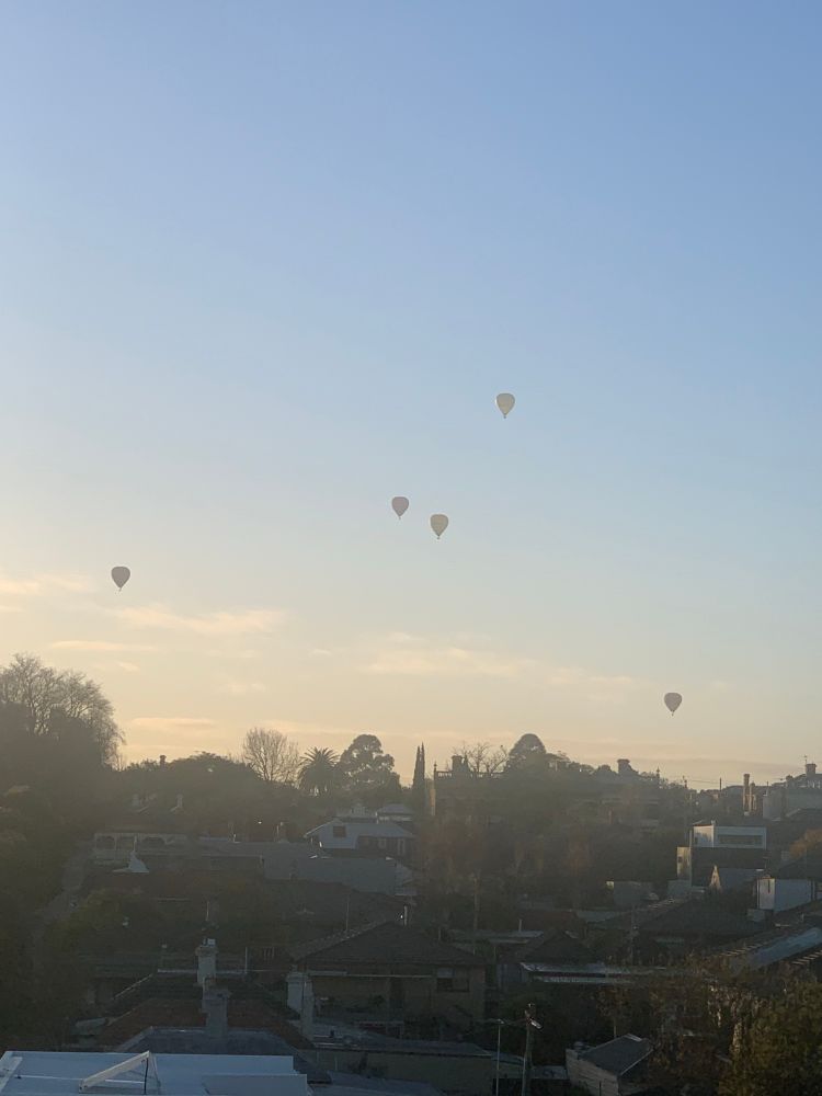 Photo of five hot air balloons floating above trees and houses on the horizon