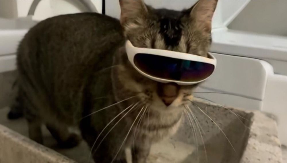 a tabby cat wearing futuristic cyclops sunglasses, it's funny because we can't see his eyes.