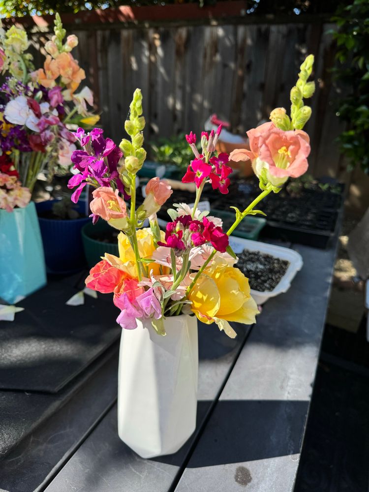 A white ceramic vase is standing on a table and it has many differently colored fresh cut flowerts in it.
