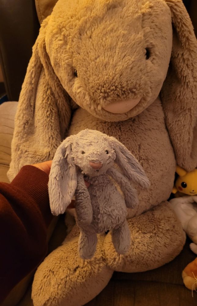 a small bunny jellycat plush held in front of a much larger similar bunny plush