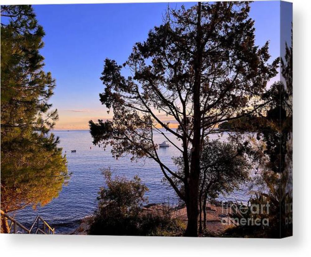 Bay View Canvas Print / Canvas Art by I Pack Go Travel