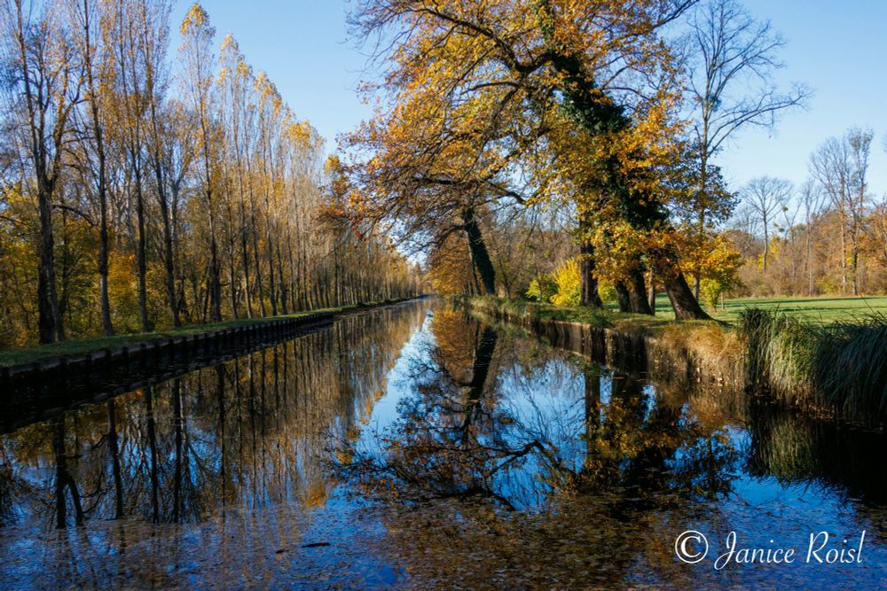 A canal with trees on both sides, autumn leaves, reflecting in the canal water. Blue sky