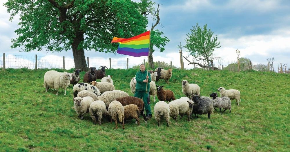 Deutschlands erste schwule Schafherde