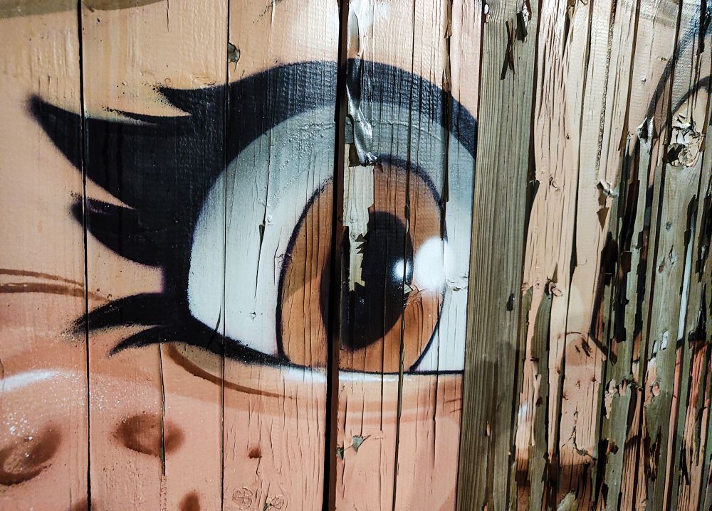 Das Bild zeigt eine Nahaufnahme eines bemalten Holzzauns. Auf den senkrechten Holzbrettern ist ein großes, stilisiertes Auge im Comic- oder Graffiti-Stil gemalt. Das Auge hat eine braune Iris, eine schwarze Pupille mit einem weißen Lichtreflex und ist von einem weißen Bereich umgeben. Darüber sind dicke, schwarze Wimpern zu sehen. Der Hintergrund um das Auge ist in Hauttönen gehalten. Die Holzbretter sind alt und verwittert: Die Farbe ist an vielen Stellen abgeblättert, das Holz hat Risse und Splitter, und die Maserung ist deutlich sichtbar. Die senkrechten Bretter trennen das gemalte Auge in mehrere Abschnitte, wodurch das Bild leicht verzerrt wirkt.
