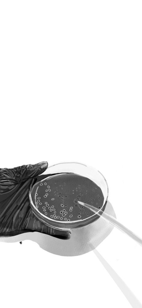 A gloved hands holds a petri dish ... inside some gloopy material sits many many small black masses (each surrounded with protective gel like outer layer). The "scientist" interacts withe the petri dish contents using some piece of perspex paraphernalia.
I spired by my Mothership RPG campaign.