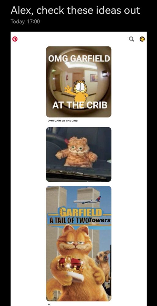 "Alex, check these ideas out" email sent by Pinterest with 3 images:
1) "omg Garfield at the crib" text over a door peephole with Garfield waving
2) scuffed Garfield plushie behind glass
3) Garfield movie poster with him holding a crown, except it's called "Garfield a tail of two towers", there's the twin skyscrapers in the bg, and an airplane flying into them. YEAH...