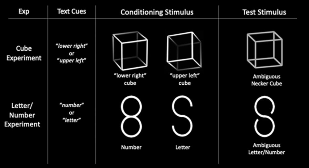 Visual imagination can influence visual perception – towards an experimental paradigm to measure imagination - Scientific Reports