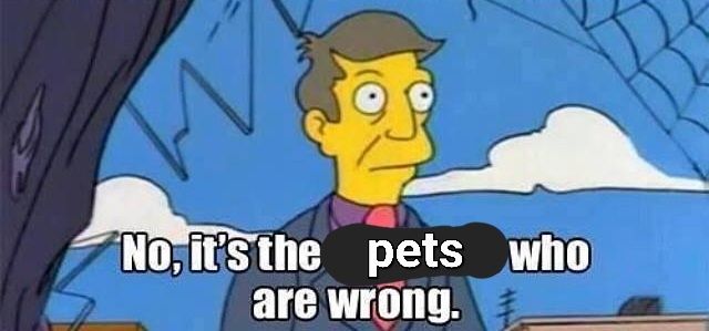Meme of Principal Skinner from The Simpsons saying, "No, it's the children wo are wrong," altered to say "pets" instead of "children".