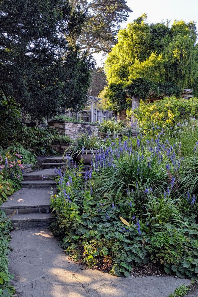 A stone path with steps surrounded by trees and multiple varieties of plants. There is a wooden seating area at the top of the path.
