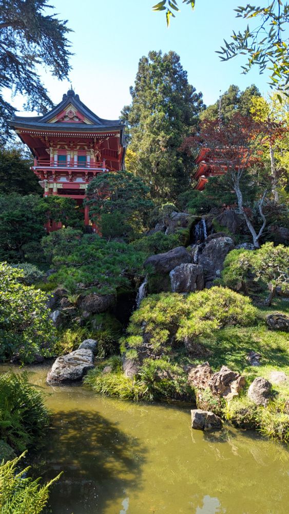 The Temple Gate and pagoda nestled above a waterfall and pond in the Japanese Tea Garden at Golden Gate Park, San Francisco, CA. The hillside is covered with low growing trees and shrubs.