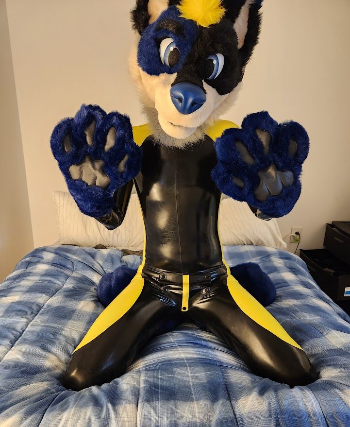 On my knees on my bed, wearing a rubber catsuit and Banana fursuit head and paws.